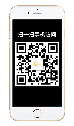 湖南雅居乐家居有限公司